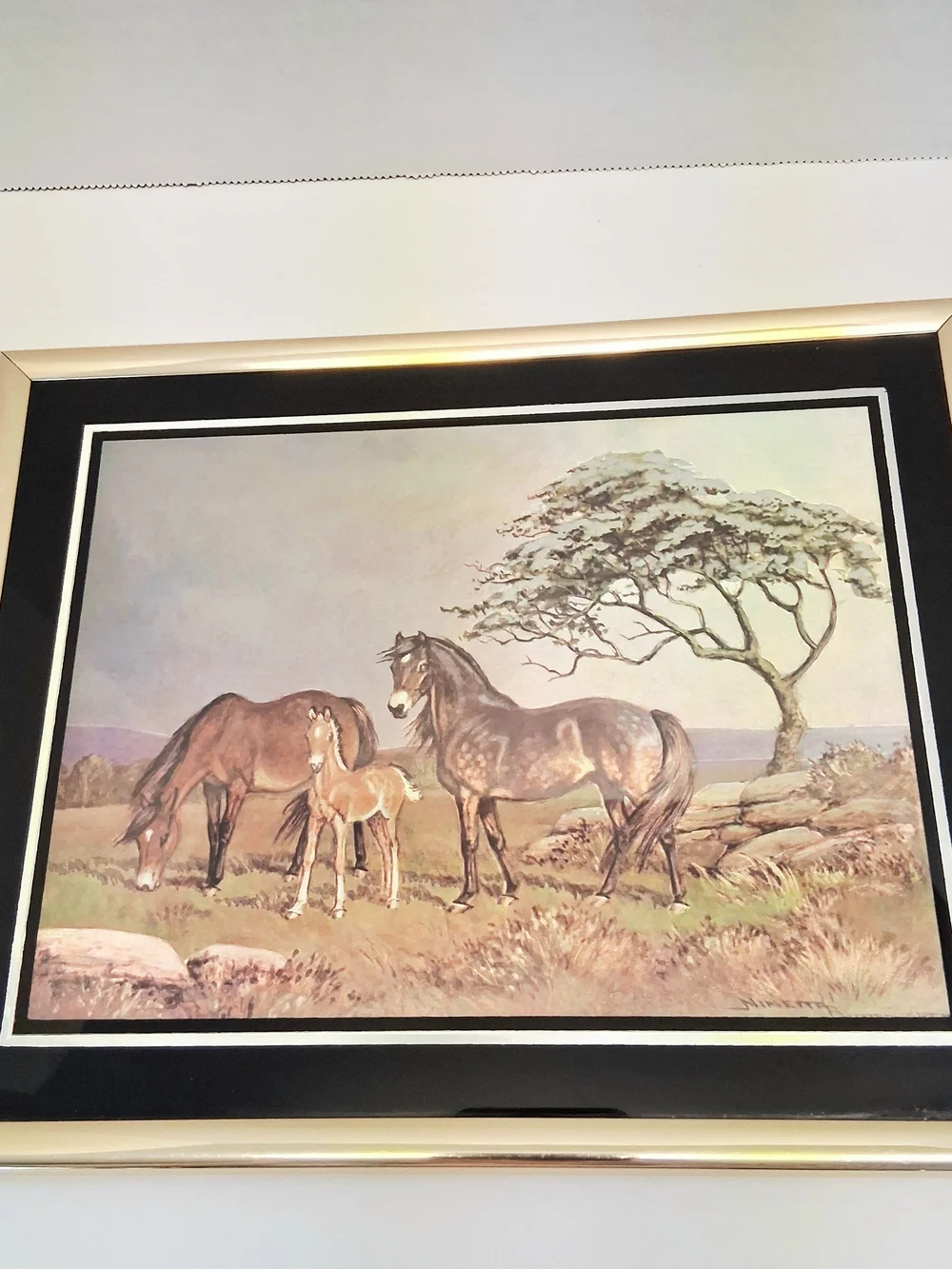 Vintage Ninetta Butterworth Horse Foal Metallic Textured Print Framed Equestrian